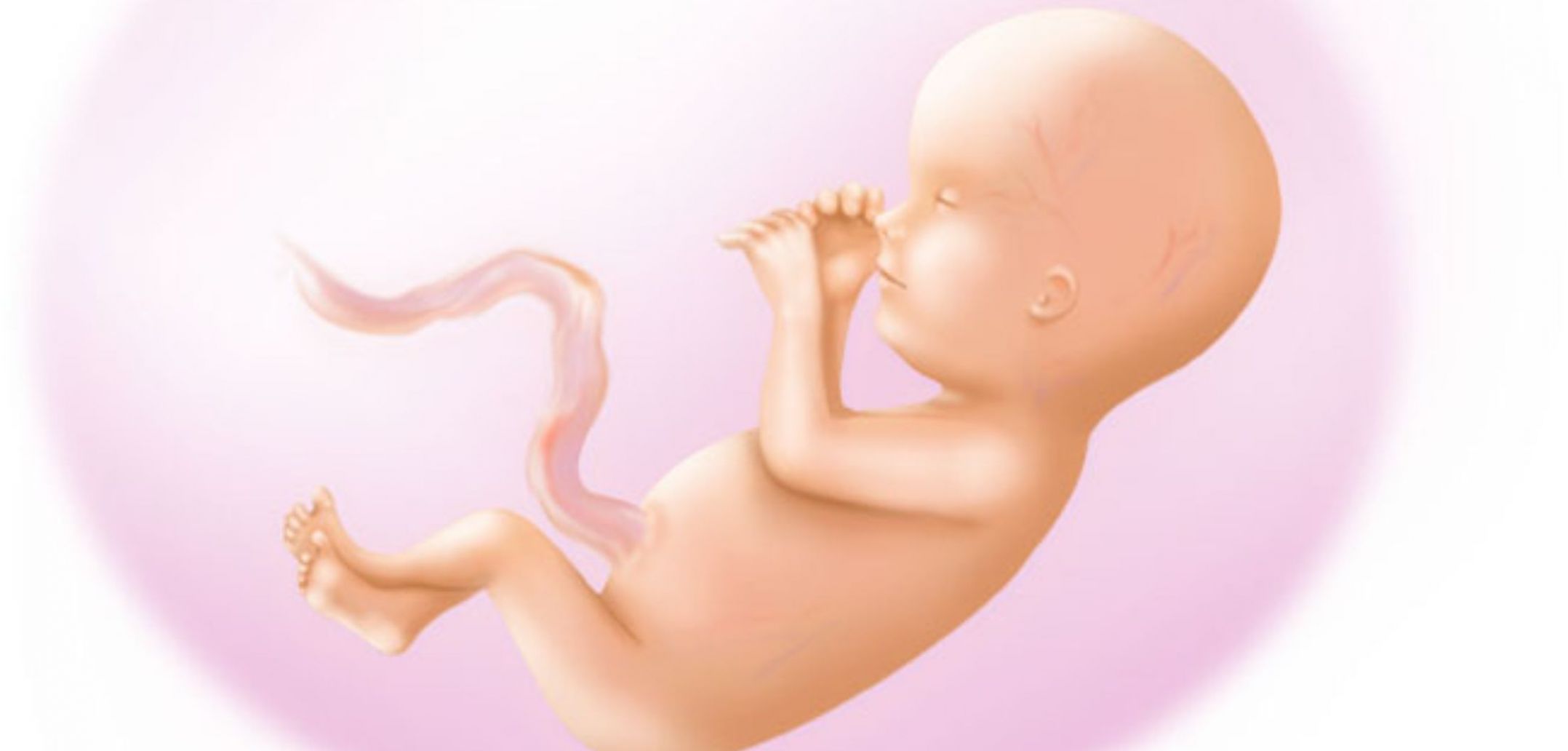 Беременность 15 мм. 15 Недель беременности. Ребёнок на 15 неделе беременности.