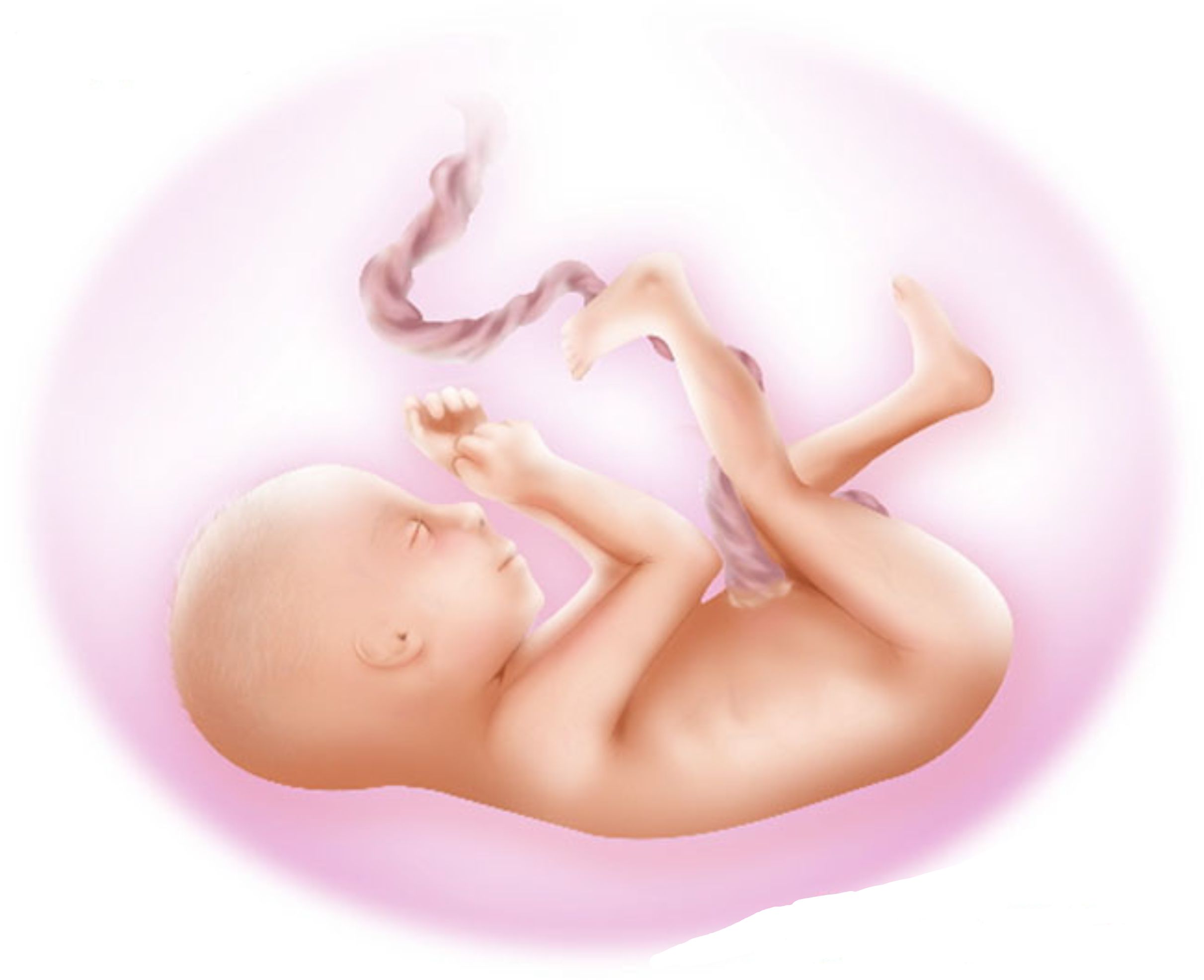 Музыка для малыша в утробе. Ребеночек в животике. Младенец в утробе.