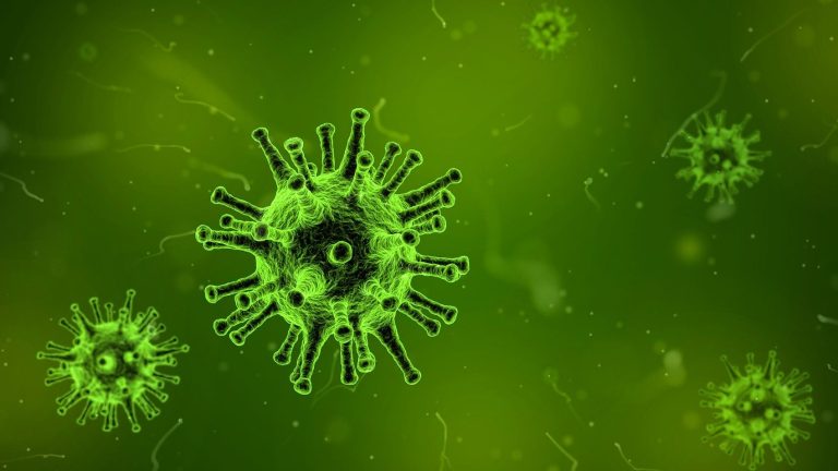 Korona virus i izolacija: Kako boravak u zatvorenom utiče na naš imunitet