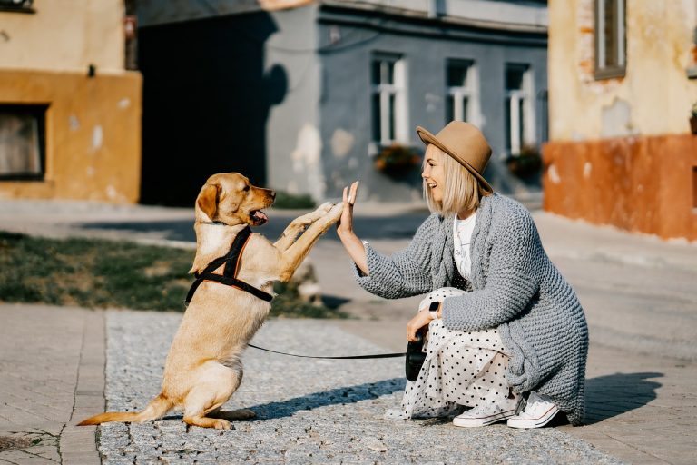 Mamica je došla doma… Ne, ja nisam njihova mama već vlasnica!